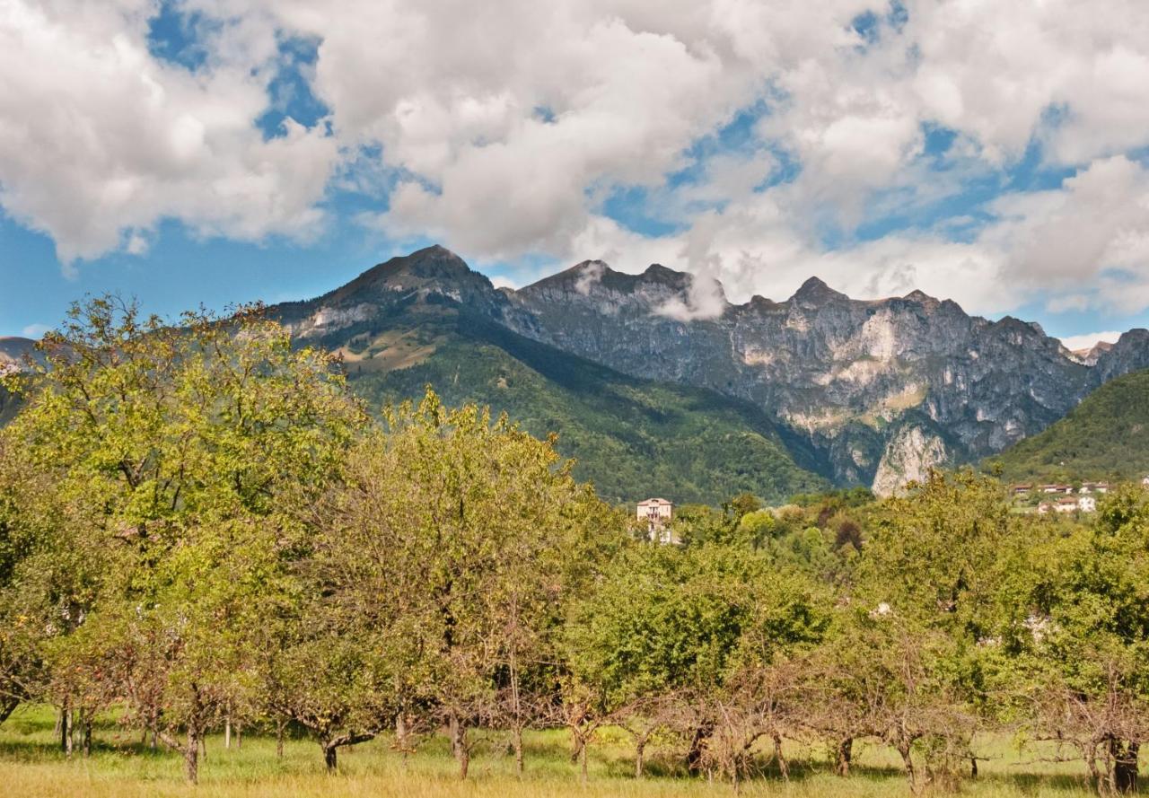 2 Camere Panoramico Nelle Dolomiti Bellunesi Pedavena Esterno foto